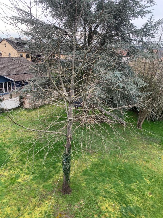 Mainpark Apartment 4 Schlafzimmer Bis Zu 10 Personen Direkt Ueber Aschaffapartment Bei Aschaffenburg Mainaschaff エクステリア 写真