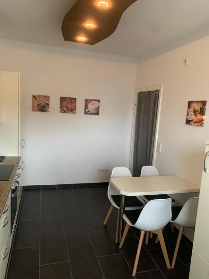 Mainpark Apartment 4 Schlafzimmer Bis Zu 10 Personen Direkt Ueber Aschaffapartment Bei Aschaffenburg Mainaschaff エクステリア 写真